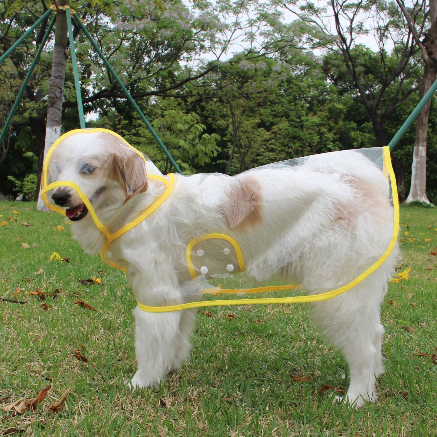 人気ペット用品 犬 マッキントッシュ 小型犬 中型犬 新品 透明 ペット マッキントッシュ