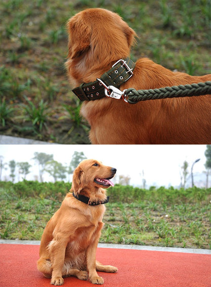 首や喉に優しい 大型犬 極太 中型犬 太い 幅広 小型犬 ペットグッズ 首輪 ペット 犬 ドッグ
