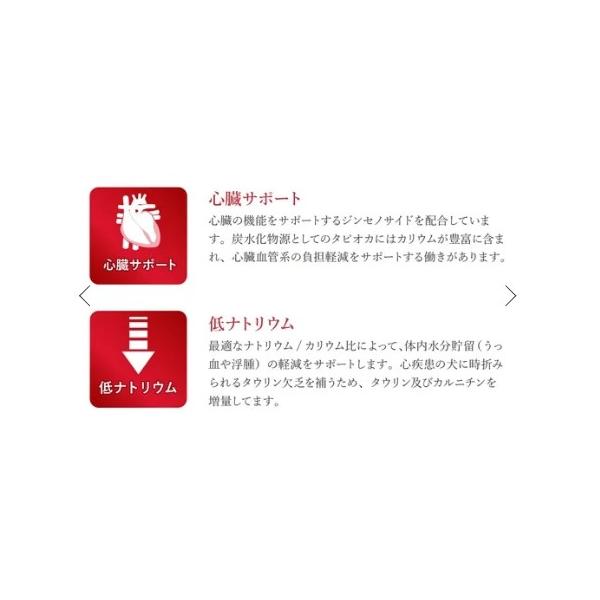 VetSolution ベッツソリューション 犬用 心臓サポート 3.0kg ドッグフード 犬 餌 療養食 心筋 タウリン カルニチン