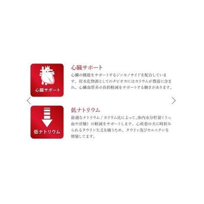 VetSolution ベッツソリューション 犬用 心臓サポート 3.0kg ドッグフード 犬 餌 療養食 心筋 タウリン カルニチン