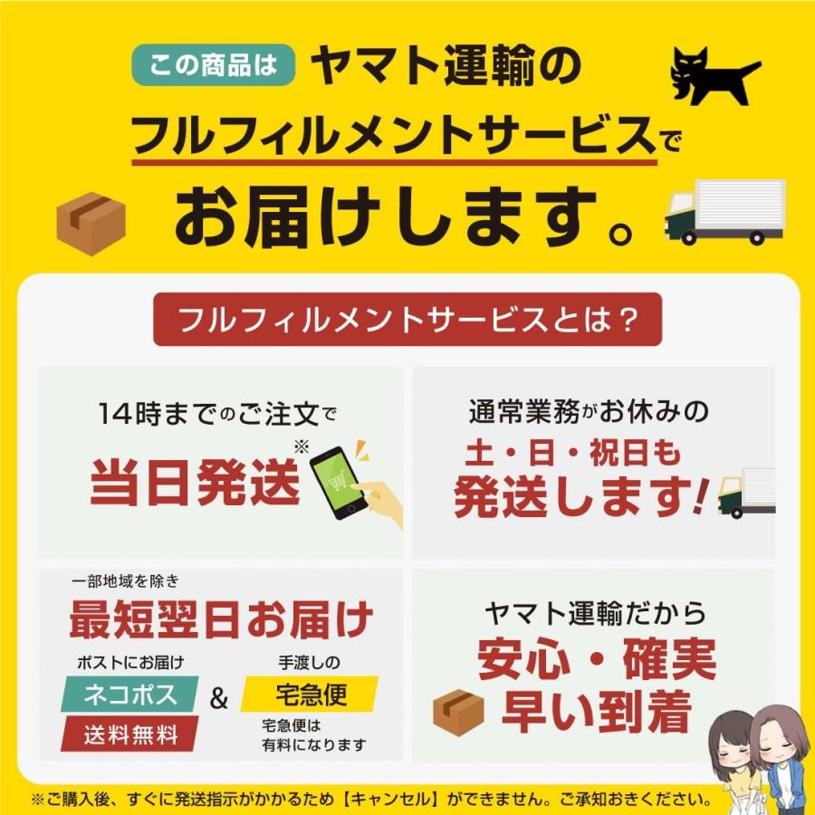 中型 猫 首輪 小型 ペット 大型 LED 充電式 光る 犬 ライト カラー