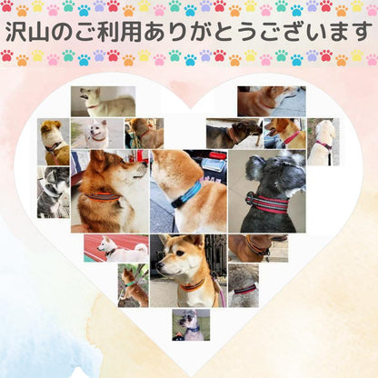 犬 首輪 メッシュ 軽い 軽量 頑丈 反射 夜 蛍光 目立つ 小型犬 中型犬 大型犬 猫 可愛い おしゃれ カラフル ペット ソフト 通気性 春 夏 秋 冬 年中