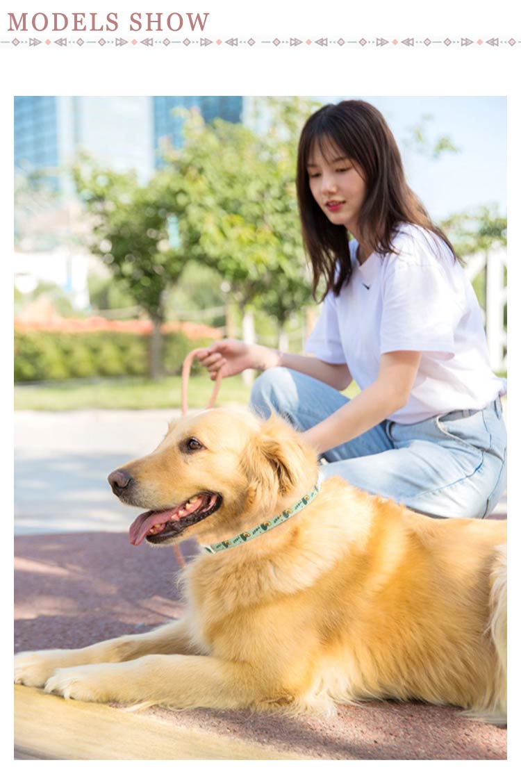 ペット用 首輪 ノミ取り ダニ取り猫用 小型犬 中型犬 大型犬 S M L ノミとり 蚊よけ首輪 防虫 虫除け用品 猫用品 ネコちゃん ワンちゃん 衛生用品 のみとり マダニとり 犬用品 ペット用品