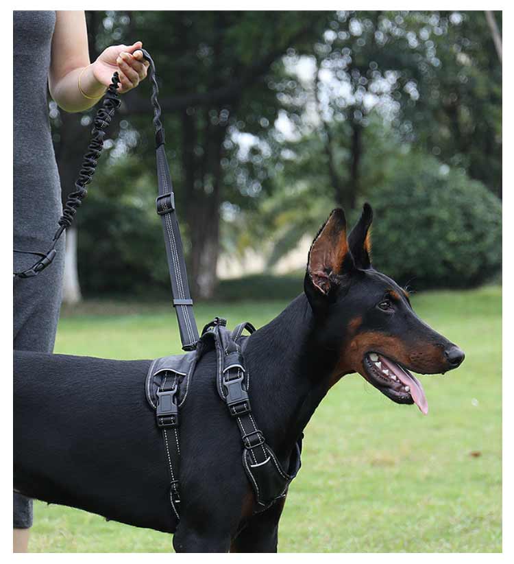 リード 犬 ハンズフリー 腰に巻ける 肩掛け 犬リード 大型犬 中型犬 小型犬 しつけ用リード 犬と一緒にランニング/ジョギング/散歩用 ベルト ショルダー ポール留め マルチ ペット用品 伸縮可能