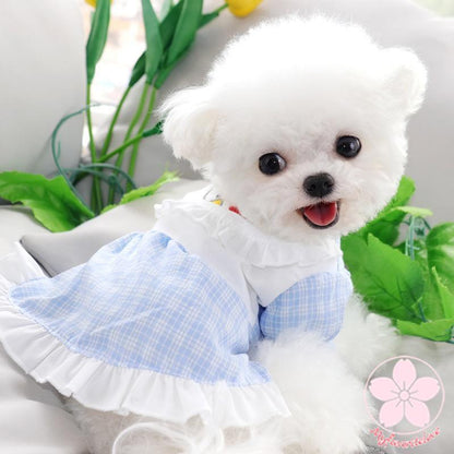 超目玉新品 ペット服 安い 犬 春 夏 涼しいフリル ドレス ワンピース かわいい 可愛い ハイブランド 猫 ドッグウェア