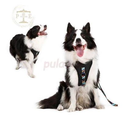 犬 ハーネス 犬用 ハーネス 胴輪 ソフトパッド 簡単装着 夏 快適 大型犬 大型犬 小型犬 スポーツハーネス 夏用 おしゃれ