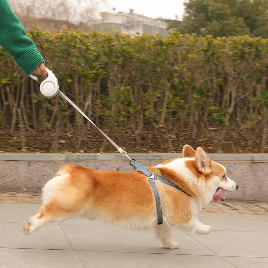 工ガ割-（全店2個購入で200円引き）大好評犬 リード 伸縮リード ペットリード 軽量 小型犬 中型犬 自動巻き取り 伸縮 おしゃれ 散歩 3M 5M