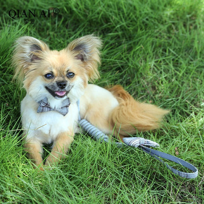 リード 中型犬 猫用 簡単装着 小型犬 160 ネコ用ハーネス 犬用 犬 2点セット シンプル ハーネスリードセット 犬用ハーネス ペット用品 ハーネス 胴輪 おしゃれ ペットハーネス 軽量 リーシュ