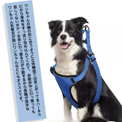ハーネス 小型犬 リード付き 犬 反射 犬用ハーネス セット ペット用 胴輪 大型犬 メッシュ ソフトハーネス 迷子防止 中型犬 簡単装着 リード 通気性 脱走防止