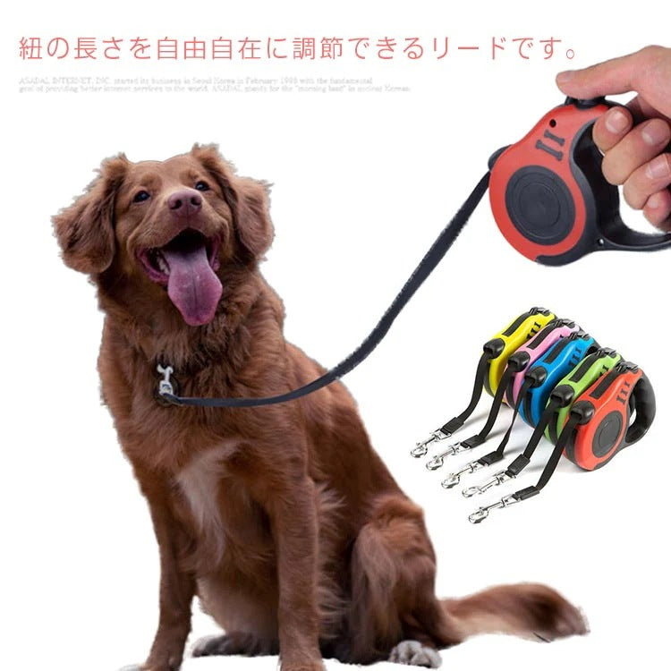 リード 小型犬 中型犬 猫 犬用 長さ3m 伸縮リード テープタイプ コードタイプ 頑丈 ロングリード 伸びるリード 巻き取り お散歩 コンパクト 軽量
