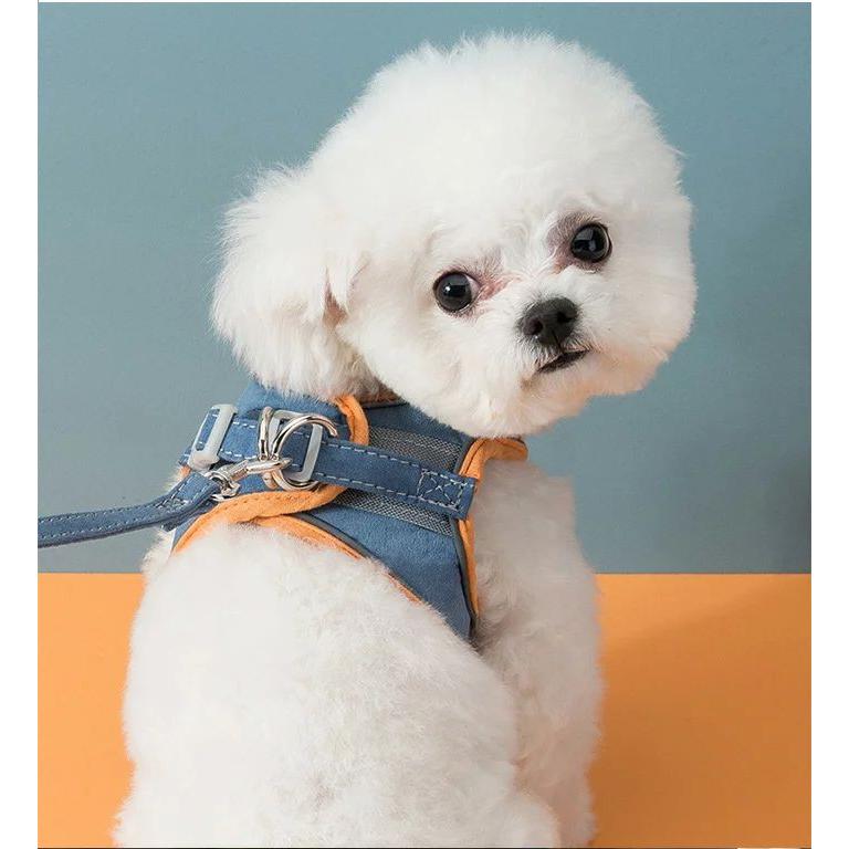 新商品プロモーション，数量限定 犬 猫 ハーネス リード付 カラフル ツートン ウェアハーネス ペット 服 胴輪 キャット ドッグ犬 猫