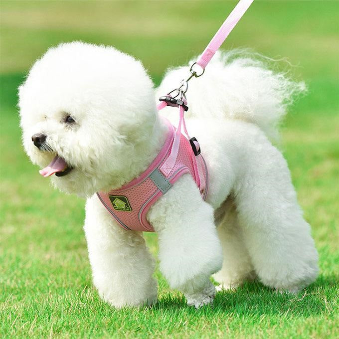 犬ウェアハーネス リードセット ネコ ワンちゃん 大人気 上品 全サイズ リードメッシュハーネス 愛犬 反射板 散歩 安心 マジックテープ