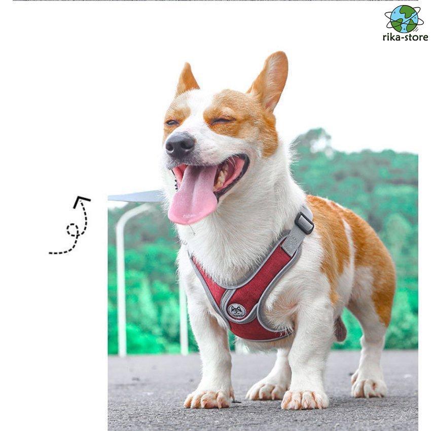 リード 大型犬 反射素材 中型犬 ハーネス リフレクター付き サイズ調整可 負担軽減 2点セット 衝撃緩和 通気性 丈夫 小型犬 かっこいい 頑丈 犬用