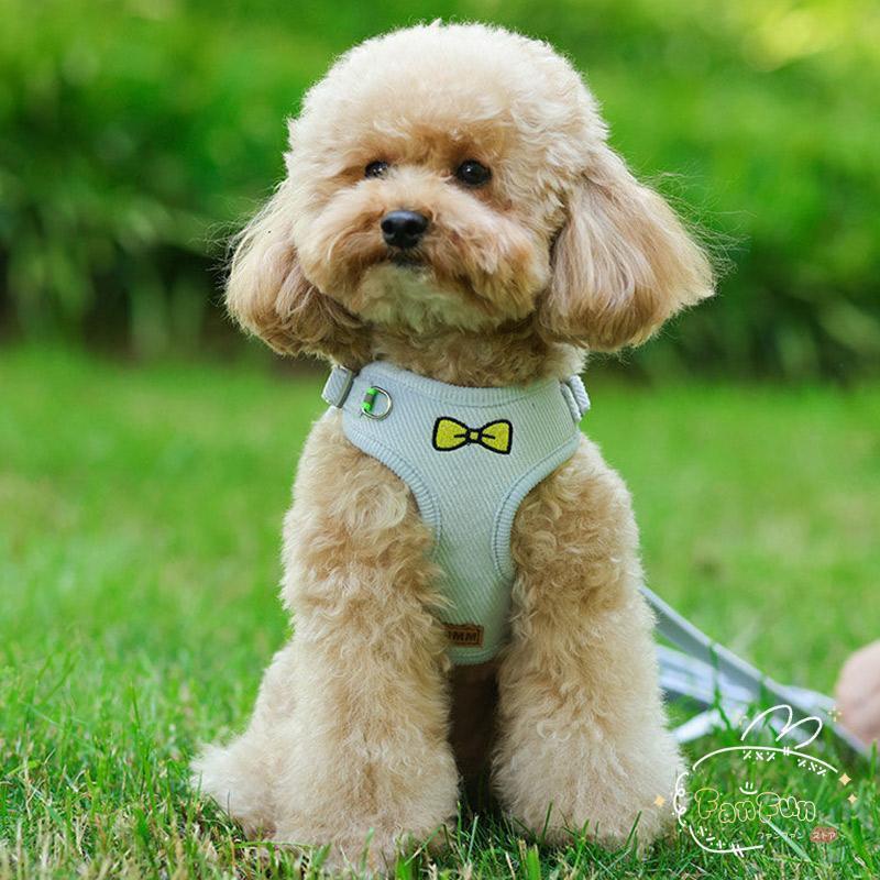 値下げ済み 3日以内に出荷 犬 ハーネスリードセット おしゃれな 中型犬小型犬散歩グッズ 簡単装着 苦しくない 脱げない 首輪 4カラー 2枚購入で150円OFF