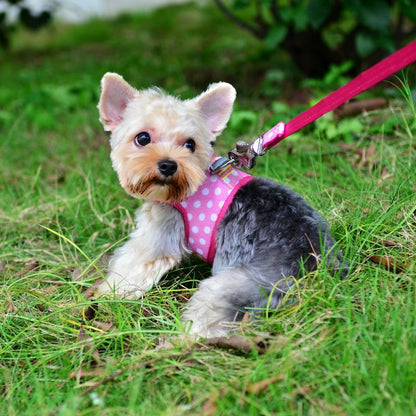 牽引紐通気小型ベスト犬チェーンテディはペットを連れて犬を散歩します