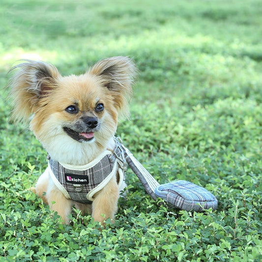 犬用 リーシュ 簡単装着 シンプル ネコ用ハーネス お散歩 ハーネスリードセット 小型犬 胴輪 2点セット お出かけ おしゃれ 軽量 129 ペットハーネス 猫用 中型犬 ハーネス リード ペット用品