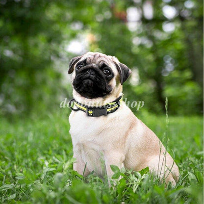 犬 首輪 首や喉に優しい ソフト 素材 ペット ドッグ ペットグッズ 太い 幅広 小型犬 中型犬 大型犬