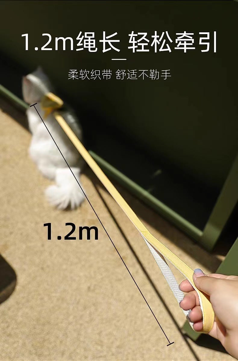 犬用 リーシュ 猫用 シンプル ペットハーネス ネコ用ハーネス 胴輪 小型犬 2点セット リード ハーネス 犬 軽量 お散歩 おしゃれ お出かけ 5 中型犬 簡単装着 ハーネスリードセット ペット用品