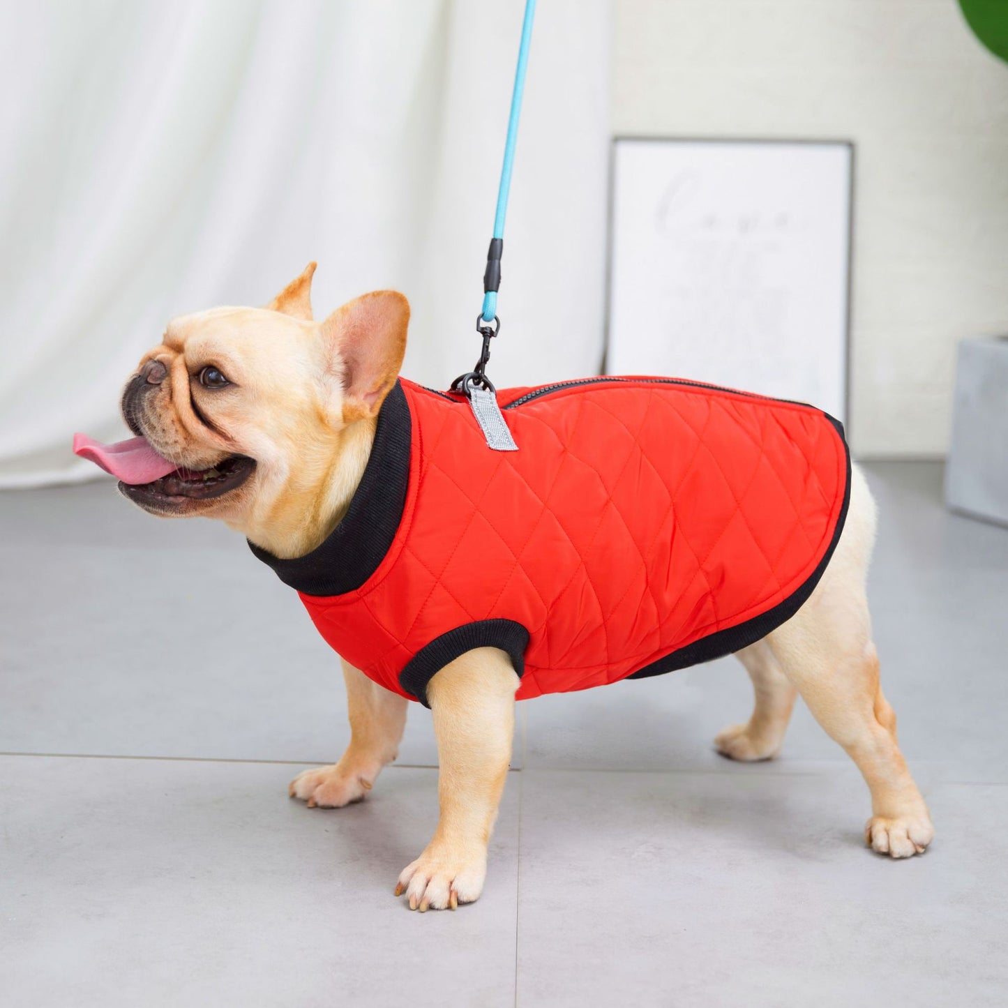 猫 犬 洋服 犬服 ペット服 大中小型犬 ペット用品 犬/猫用 犬の服 ペットウエア 小型犬 中型犬 通気 可愛い ドッグウェア トレーナー 犬 服 ワンピース サロペット ビションフリーゼ 犬猫服