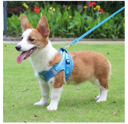 胴輪 犬用 抜けない 犬具 しっかりロック 小型犬 簡単装着 散 犬 中型犬 ドッグ イヌ メッシュ いぬ M 負担が少な 抜けにくい 犬ハーネスリードセット かわいい おしゃれ お出かけ