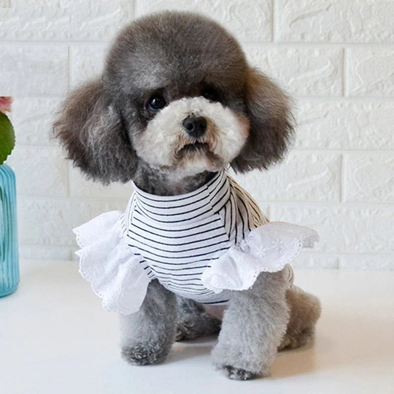 ペットウェア新作秋冬 ペット服　犬猫服　快適で可愛い ペット用品 ペットグッズ ペットウエア コスチューム ボーダー ハイネック フリル レース シンプルペットウェア