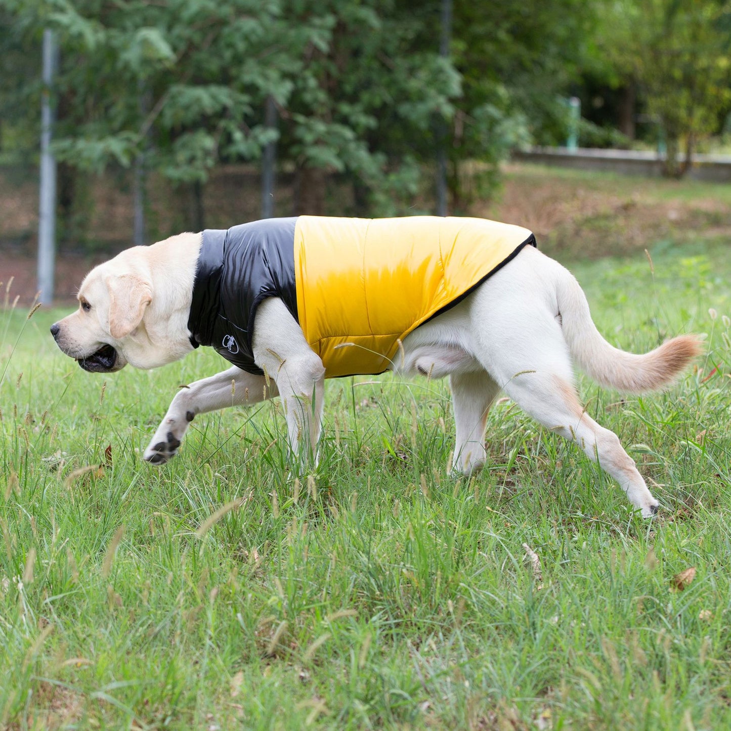 猫 犬 洋服 犬服 ペット服 大中小型犬 ペット用品 犬/猫用 犬の服 ペットウエア 小型犬 中型犬 通気 可愛い ドッグウェア トレーナー 犬 服 ワンピース サロペット ビションフリーゼ 犬猫服
