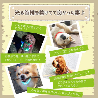 中型 猫 首輪 小型 ペット 大型 LED 充電式 光る 犬 ライト カラー