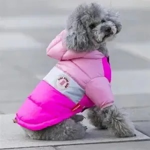 犬服 服 フード付きダウン風ジャケット ジャケット コート おしゃれ かわいい 小型犬 保温 防寒 やわらか あったか 犬用 犬の服 犬 服 ペット服 ドッグウェア997