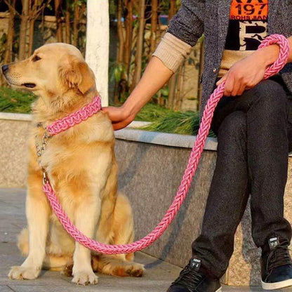 首輪付きリードセット セット ハーフチョーク 全11色×4サイズ XL ＋ しつけ ペット 首輪 犬 中型犬 大型犬 パラコード S M L リード
