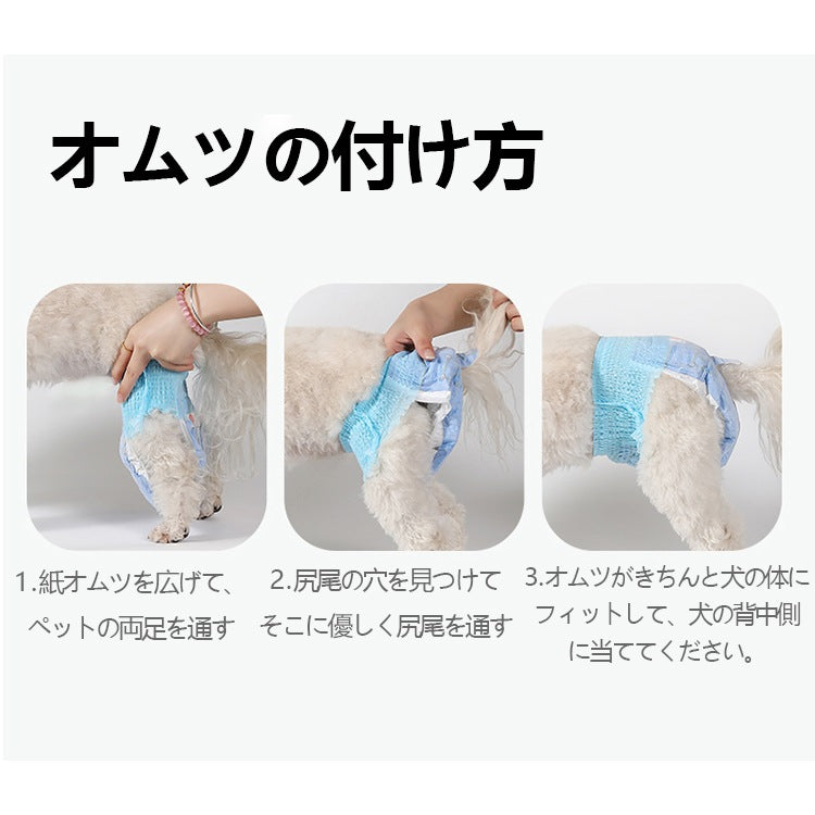 <a href="https://www.qoo10.jp/gmkt.inc/Search/brand.aspx?brandno=109151" target="_blank" class="title_brand" id="btn_brand" title="Honeycare">Honeycare</a>犬用 紙おむつ 20枚 パンツタイプ マナーおむつ 男女兼用 オムツ しつけ 介護 紙おむつ 犬 猫 ペット用紙おむつ