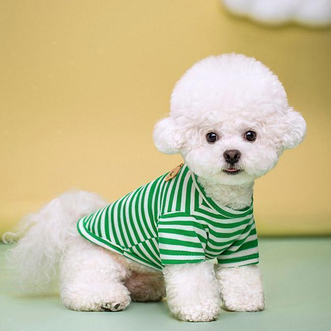 ペット服 Tシャツ 犬用 半袖 クマ ストライプ柄 配色 軽量 通気性 柔らかい 可愛い 新品 大人気 着せやすい 抜け毛対策 汚れ防止 冷え対策 春夏