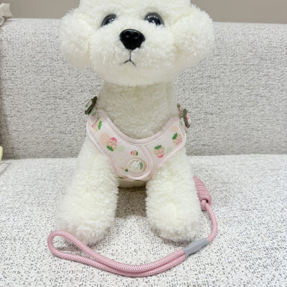新型伸縮可能な通気性ペットの胸の牽引紐の小型犬は四季を通じて通用します