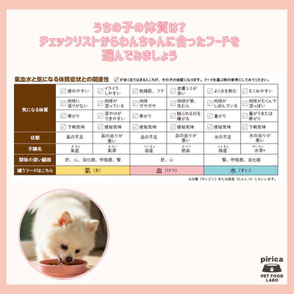 <a href="https://www.qoo10.jp/gmkt.inc/Search/brand.aspx?brandno=137599" target="_blank" class="title_brand" id="btn_brand" title="pirica PET FOOD LABO">pirica PET FOOD LABO</a>【レトルト付き】Holistic Food careホリスティックフードケア　ドライ(カリカリ)タイプ1000g 氣血水３種セット