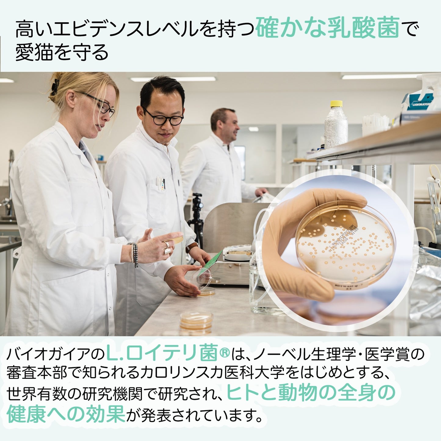 <a href="https://www.qoo10.jp/gmkt.inc/Search/brand.aspx?brandno=112140" target="_blank" class="title_brand" id="btn_brand" title="BioGaia">BioGaia</a>【公式ストア 即日発送】ニャンズ Nyans 10ml（猫用 犬にも使用可）無味無臭 リキッド サプリメント 口臭 便秘