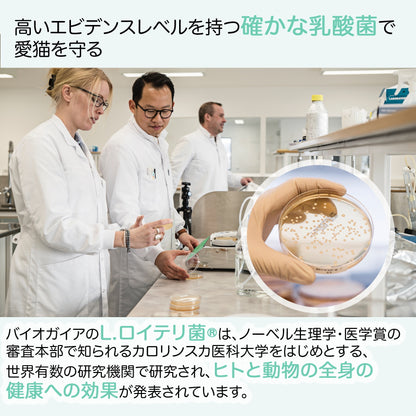 <a href="https://www.qoo10.jp/gmkt.inc/Search/brand.aspx?brandno=112140" target="_blank" class="title_brand" id="btn_brand" title="BioGaia">BioGaia</a>【公式ストア 即日発送】ニャンズ Nyans 10ml（猫用 犬にも使用可）無味無臭 リキッド サプリメント 口臭 便秘