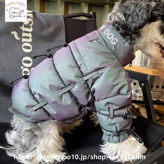 家の犬秋冬の犬服 テディボーミペットのコキシナレビーベア秋 暖かい可愛らしい 暖かい野球服 冬アウター中小型犬猫の綿の服です