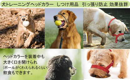 新作セールVOOPH ジェントルリード 犬 トレーニングヘッドカラー 犬用ヘッドカラー ペット用品 ヘッドカラー ジェントルリーダー 犬の首輪マズル 犬ホルター ヘッドカラー クイックリリース トレー