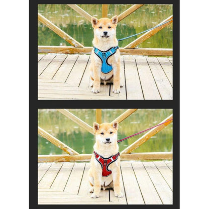 新商品プロモーション，数量限定 犬 猫 ハーネス リード付 特殊大型メッシュ ウェアハーネス ペット 服 胴輪 キャット ドッグ犬 猫