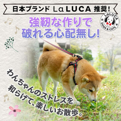 犬 ハーネス リード 抜けにくい 小型犬 中型犬 大型犬 ハーネスリードセット スタンダード 抜けない 犬用 首輪 胴輪 散歩