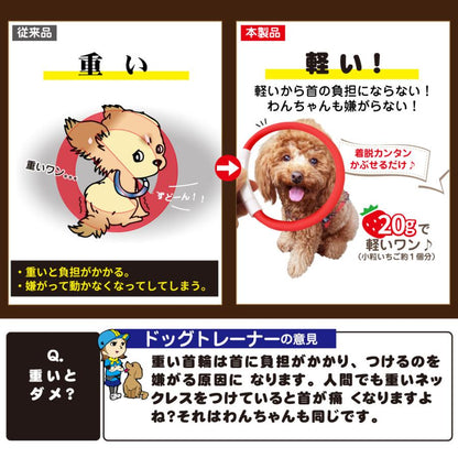 中型 猫 首輪 小型 ペット 大型 LED 充電式 光る 犬 ライト カラー