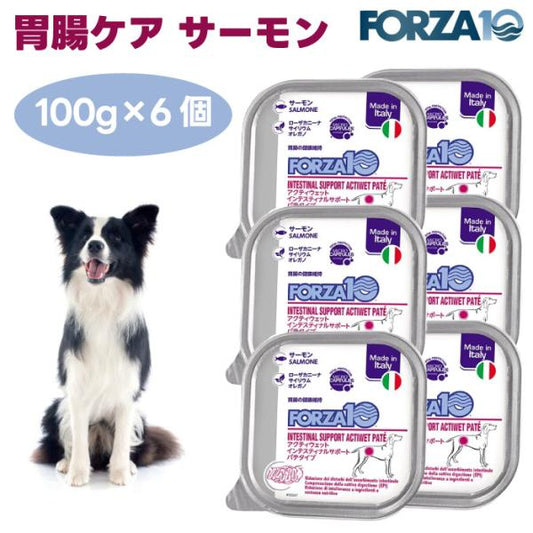 Forza10 アクティウェット インテスティナルサポート 胃腸ケア サーモン パテタイプ 100gx6個 ドッグフード 犬 餌 療養食 フォルツァ10