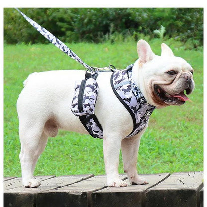 新商品プロモーション，数量限定 犬 猫 ハーネス リード 首輪 トイレ袋入れ 4点セット ペット 胸あて 迷彩 胴輪 キャット ドッグ メッシュ犬 猫