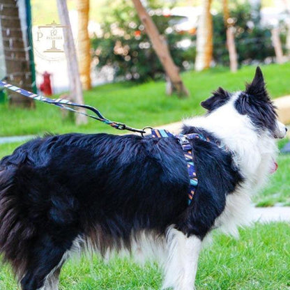 犬 ハーネス 犬用 ハーネス 胴輪 ソフトパッド 簡単装着 夏 快適 大型犬 大型犬 小型犬 スポーツハーネス 夏用 おしゃれ