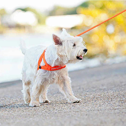 【人気商品】EZ リード ヴァリオ4ライト EZYDOG