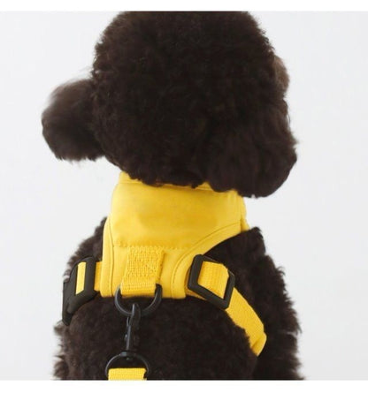 韓国版の中で小型の犬のテディは熊のコーキに比べて外出して犬を散歩します メガ割ワンピースパンツトートバッグ