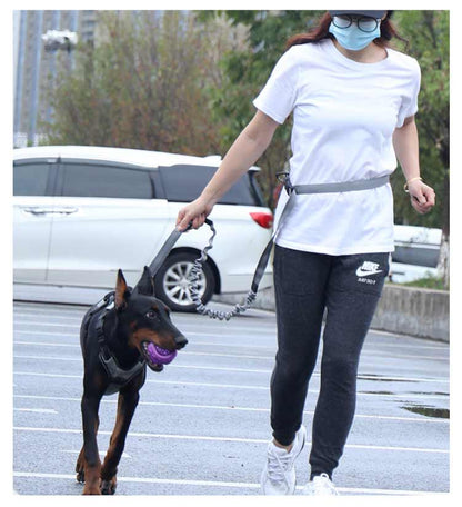 高い人気 リード 犬 ハンズフリー 腰に巻ける 肩掛け 犬リード 大型犬 中型犬 小型犬 しつけ用リード 犬と一緒にランニング/ジョギング/散歩用 ベルト ショルダー ポール留め マルチ ペット用品