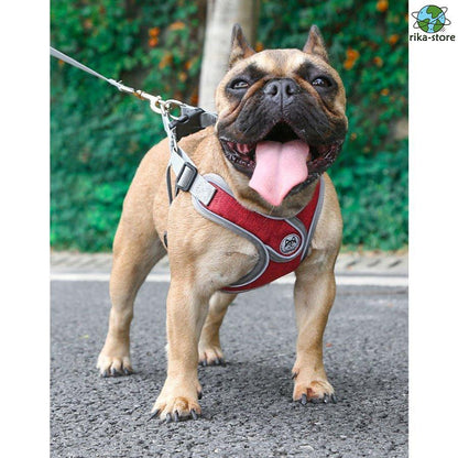 リード 大型犬 反射素材 中型犬 ハーネス リフレクター付き サイズ調整可 負担軽減 2点セット 衝撃緩和 通気性 丈夫 小型犬 かっこいい 頑丈 犬用