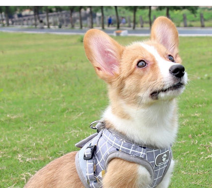 背心式犬牽引紐テディ比熊小型犬胸背ドッグラン子犬チェーンペット用品