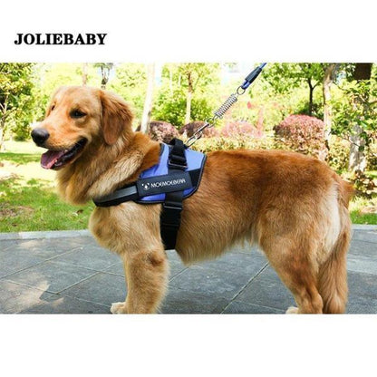 犬用ハーネスリード 牽引ロープ リードセット 犬 猫 ペット牽引縄 ドッグリード 小型犬 中型犬 大型犬 引っ張り防止 ペット用品 ハーネス 胸あて式 お散歩グッズ