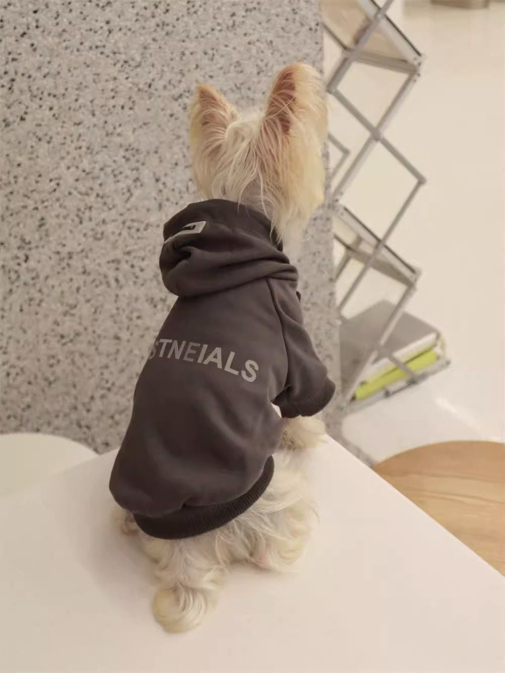 新作入荷 犬 服 犬服 秋 冬 ペット服 犬 洋服 犬服 2024 秋新作 小型犬 スウェット 冬モデル